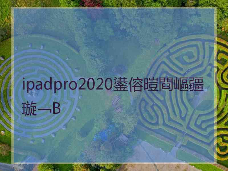 ipadpro2020鍙傛暟閰嶇疆璇﹁В