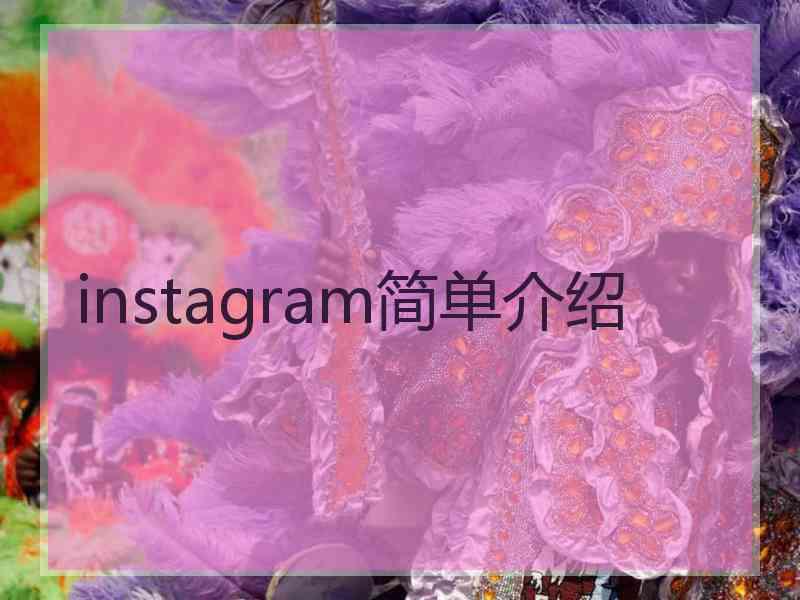 instagram简单介绍