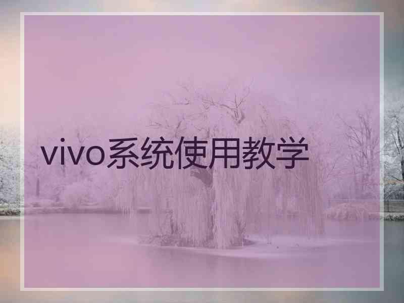 vivo系统使用教学