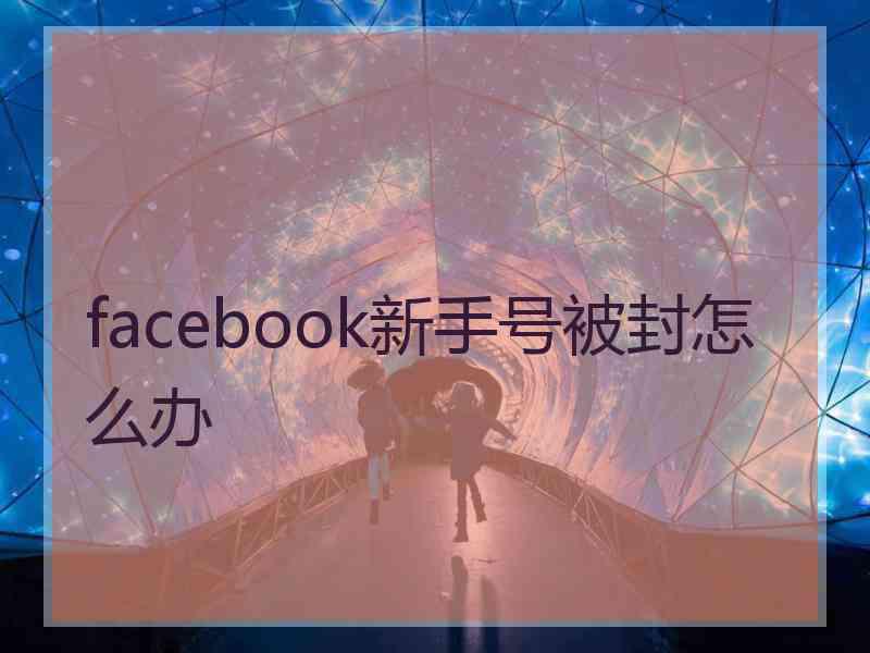 facebook新手号被封怎么办