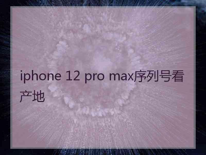 iphone 12 pro max序列号看产地