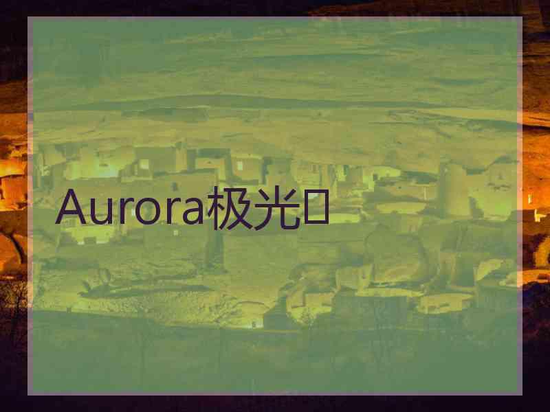 Aurora极光✨