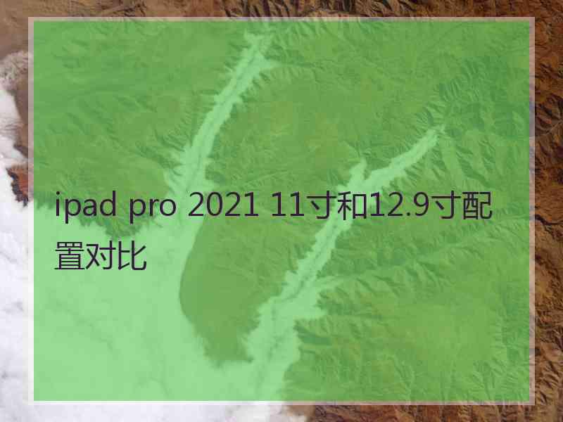 ipad pro 2021 11寸和12.9寸配置对比