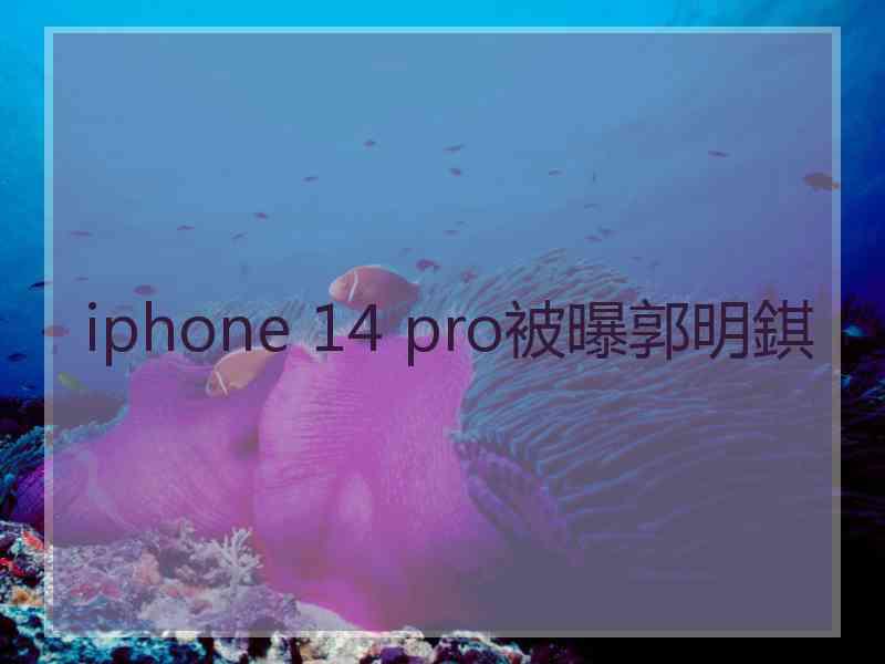 iphone 14 pro被曝郭明錤