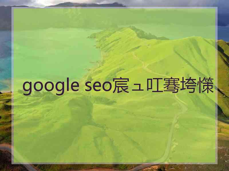 google seo宸ュ叿骞垮憡