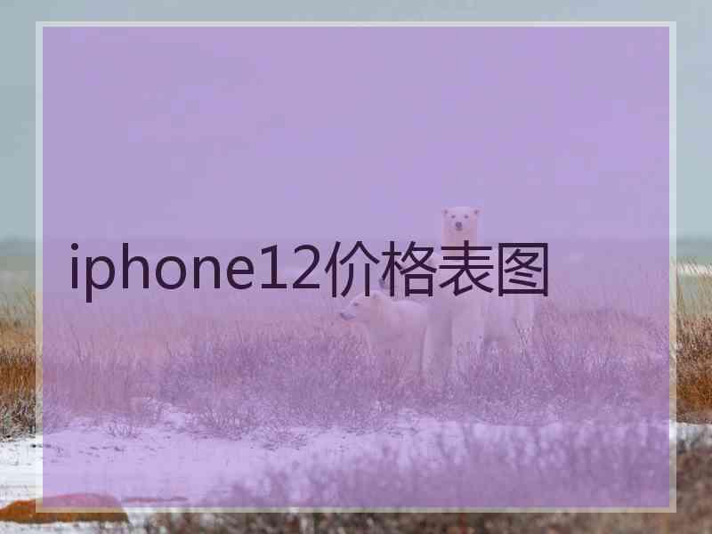 iphone12价格表图