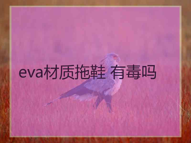 eva材质拖鞋 有毒吗