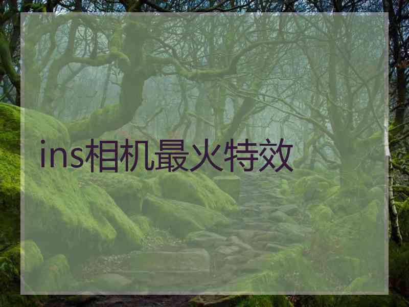 ins相机最火特效