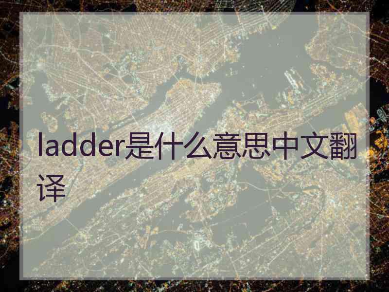 ladder是什么意思中文翻译