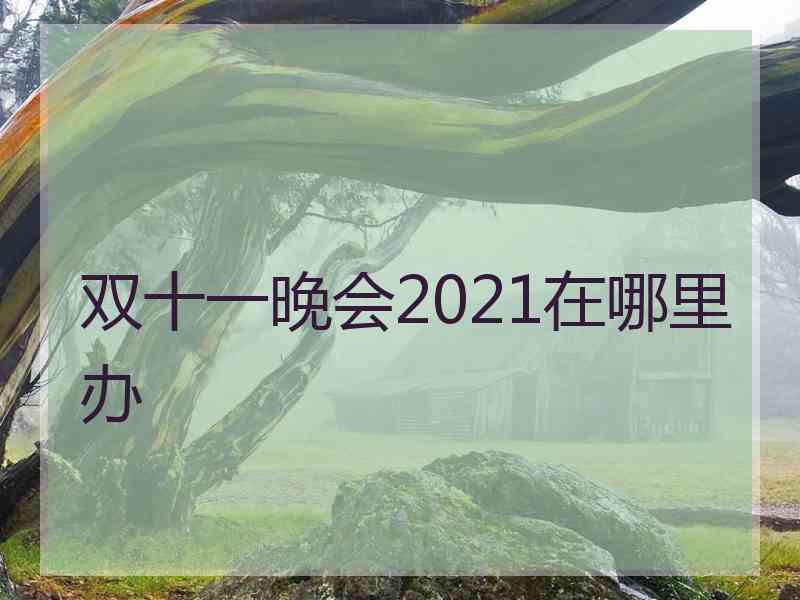 双十一晚会2021在哪里办