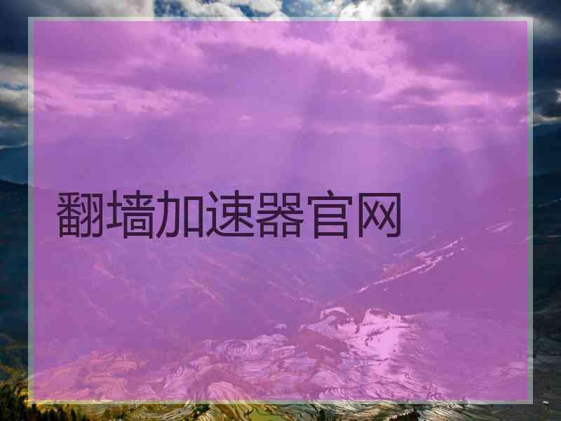 翻墙加速器官网