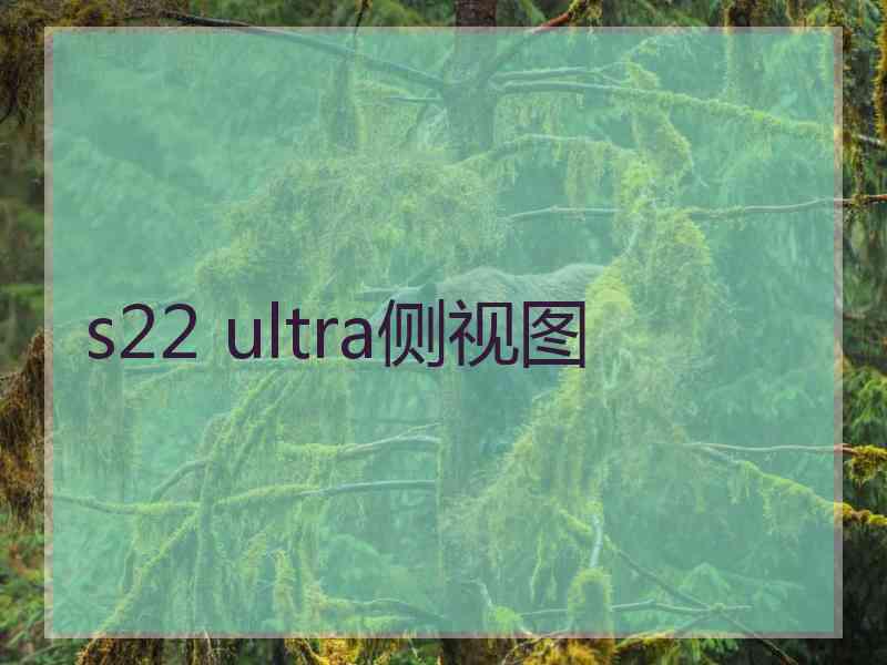 s22 ultra侧视图