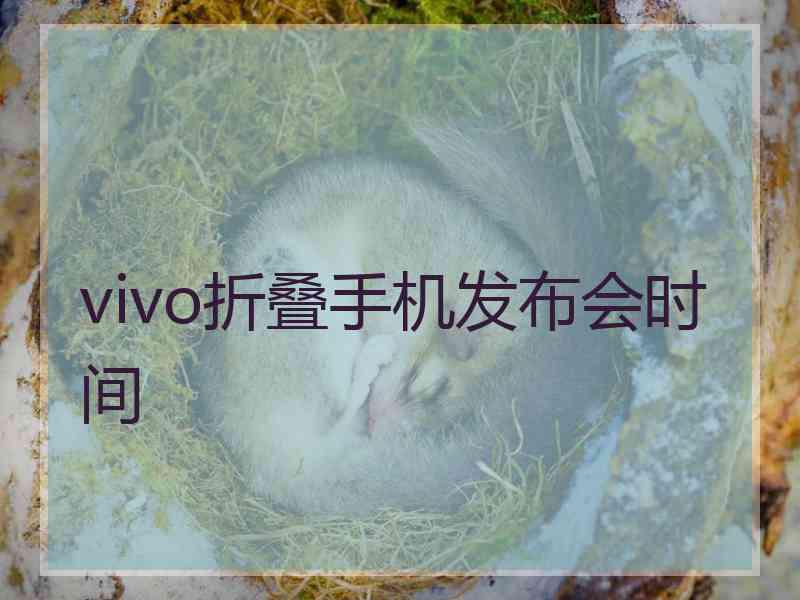 vivo折叠手机发布会时间