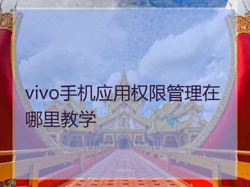 vivo手机应用权限管理在哪里教学