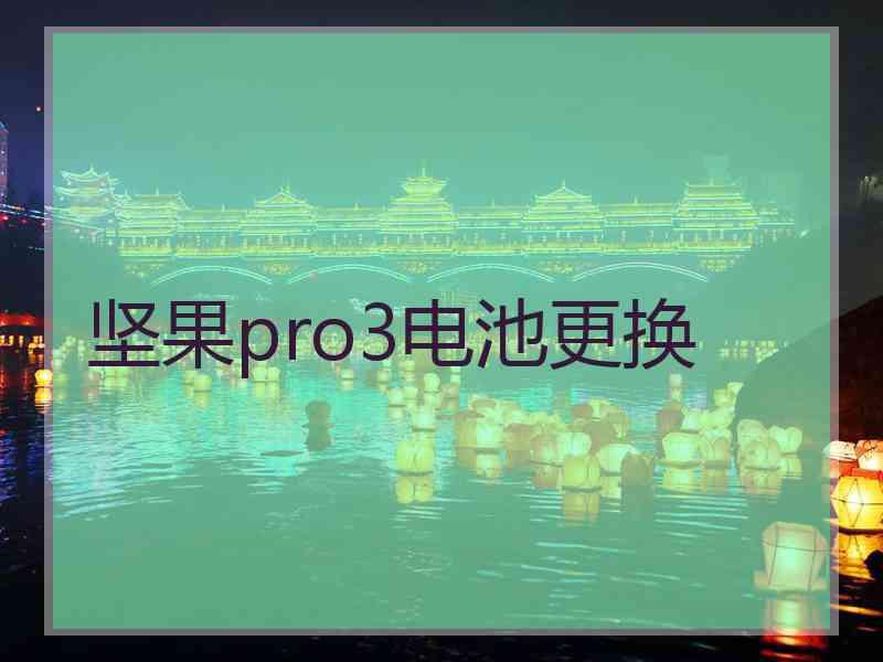 坚果pro3电池更换