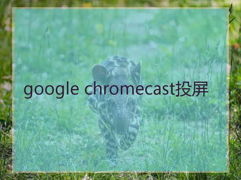 google chromecast投屏