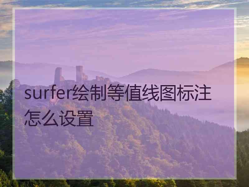 surfer绘制等值线图标注怎么设置