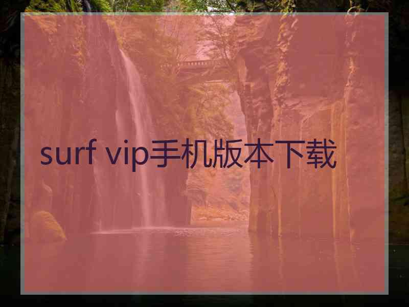 surf vip手机版本下载