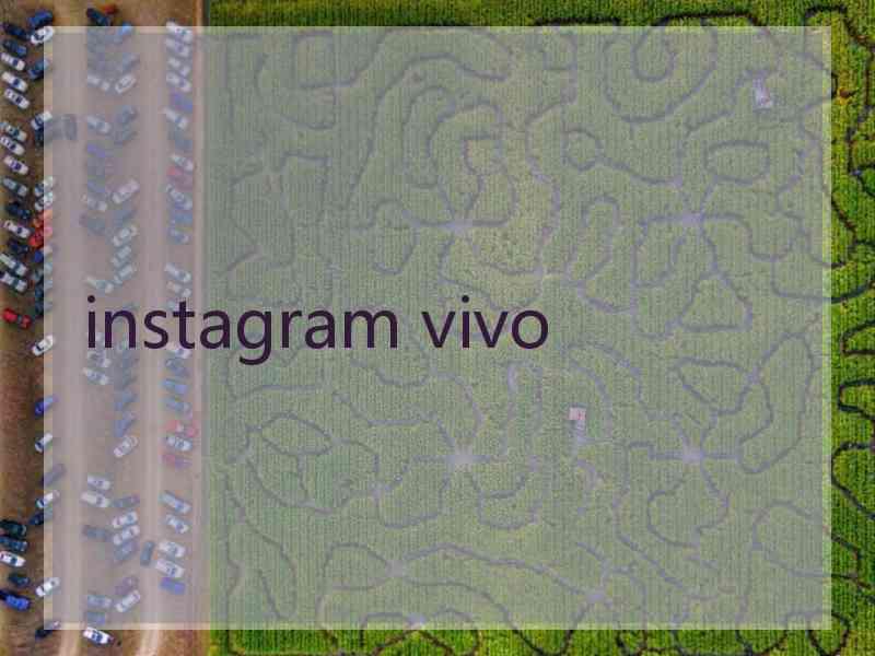 instagram vivo