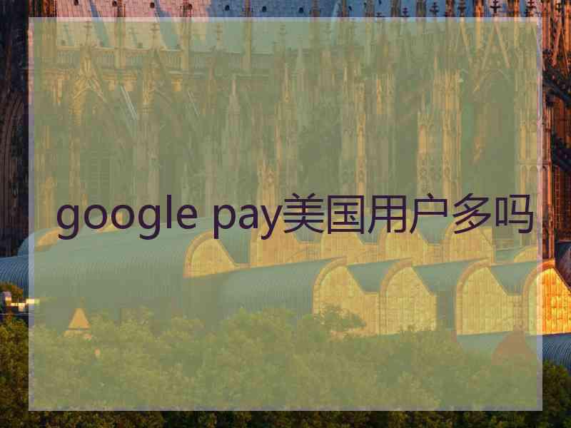 google pay美国用户多吗