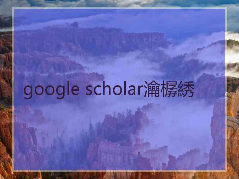 google scholar瀹樼綉