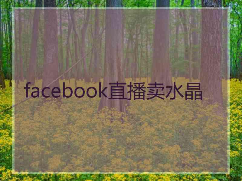 facebook直播卖水晶