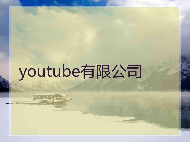 youtube有限公司