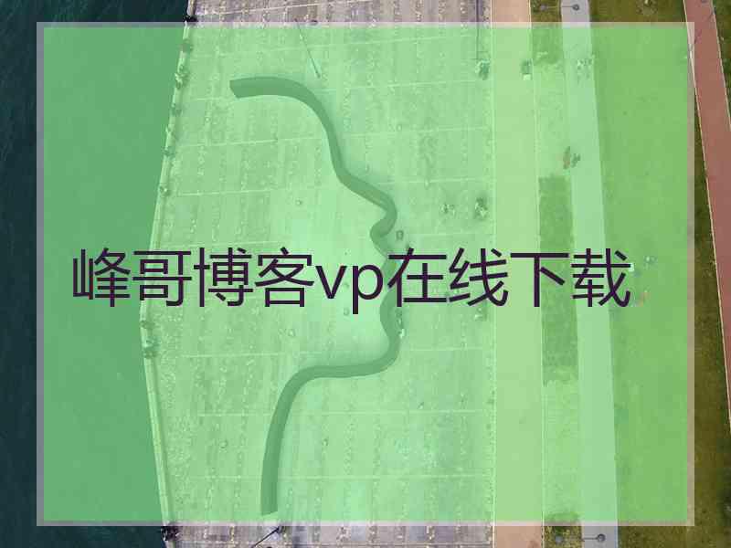 峰哥博客vp在线下载