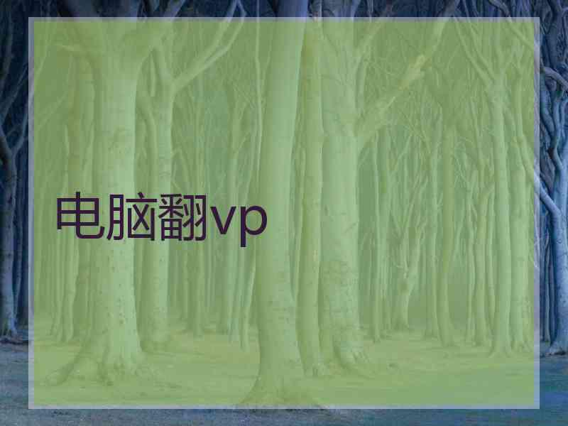 电脑翻vp