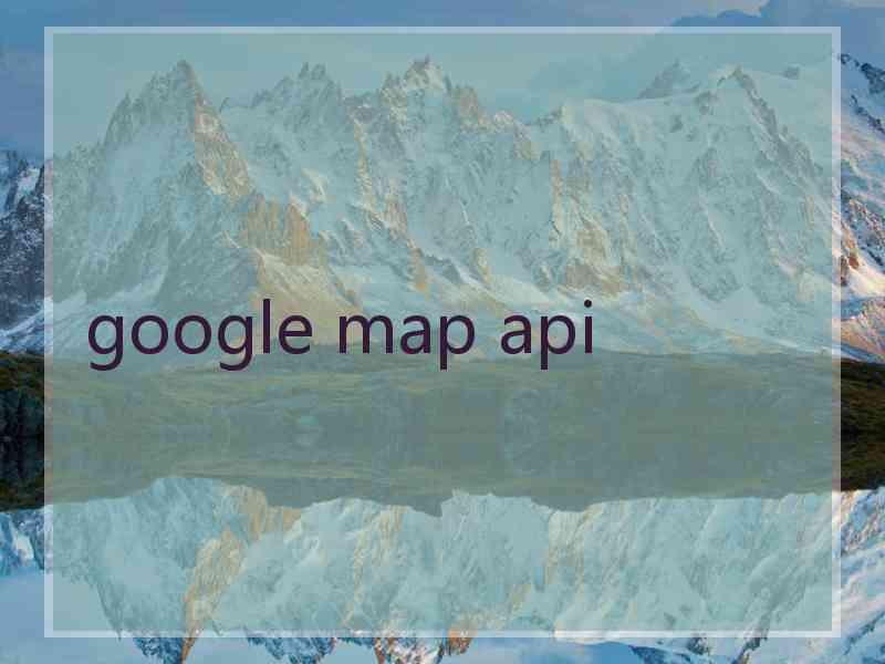 google map api