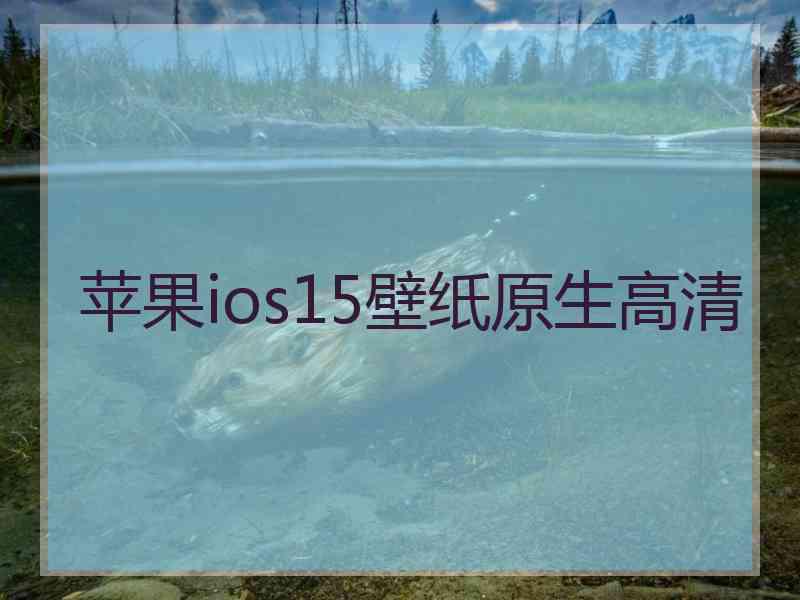 苹果ios15壁纸原生高清