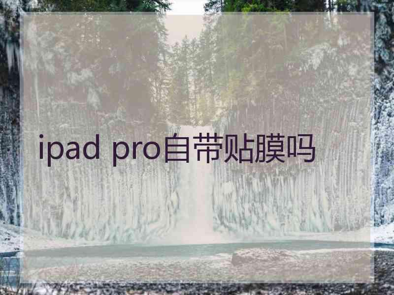 ipad pro自带贴膜吗