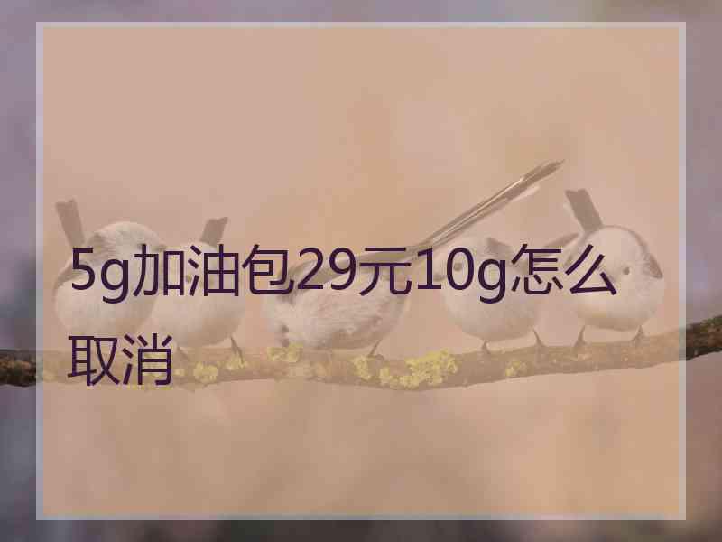 5g加油包29元10g怎么取消