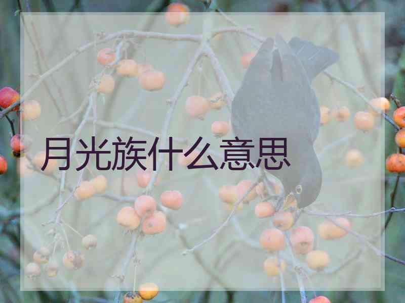 月光族什么意思