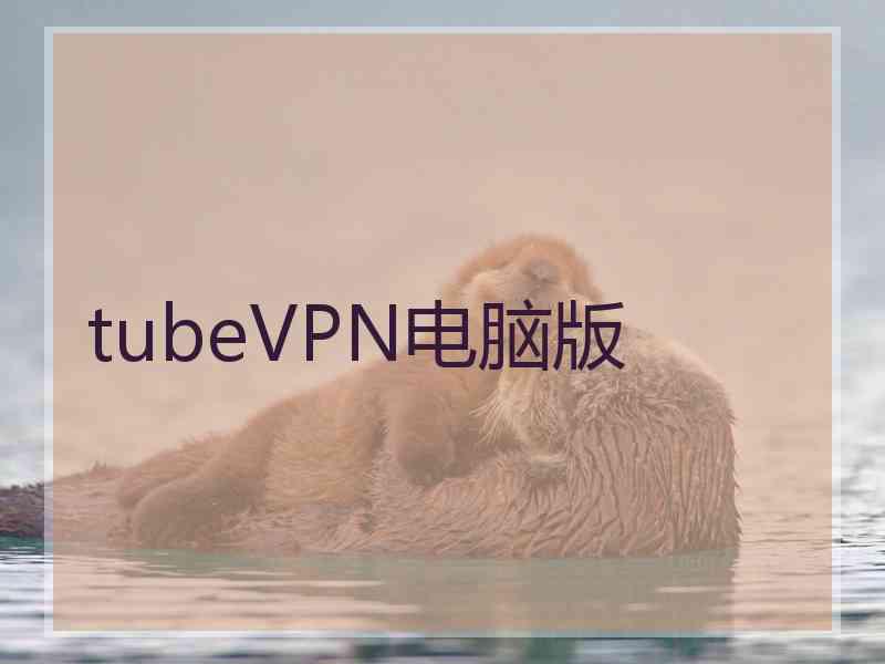 tubeVPN电脑版