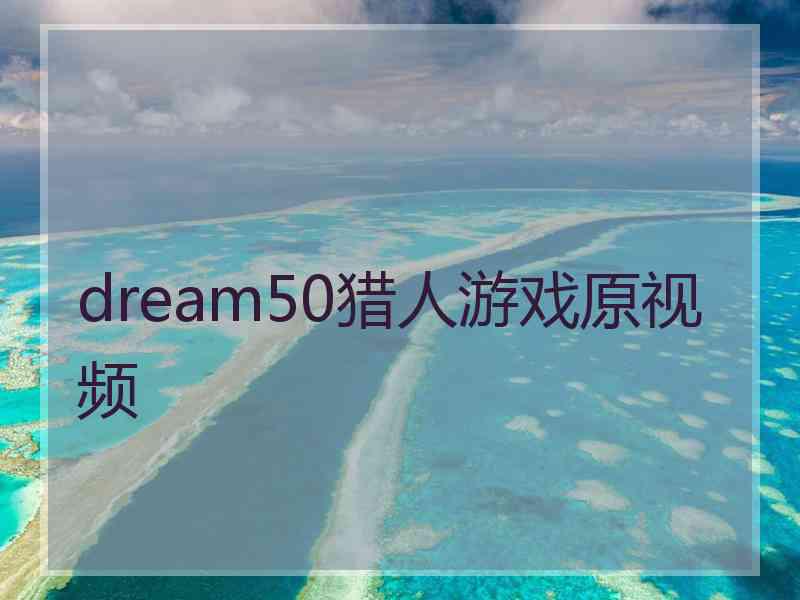 dream50猎人游戏原视频