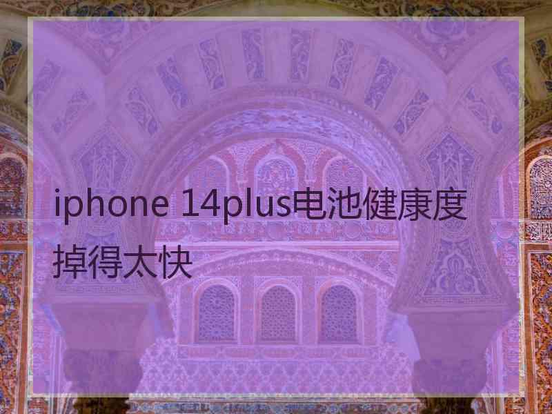 iphone 14plus电池健康度掉得太快