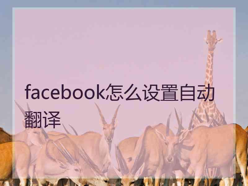 facebook怎么设置自动翻译