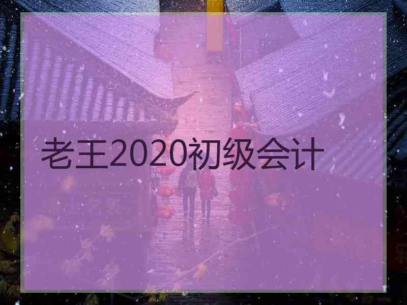 老王2020初级会计