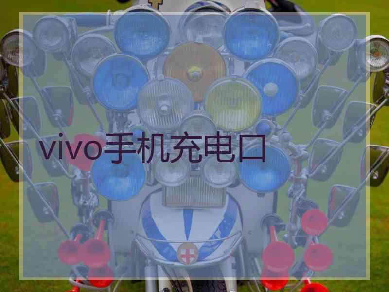 vivo手机充电口