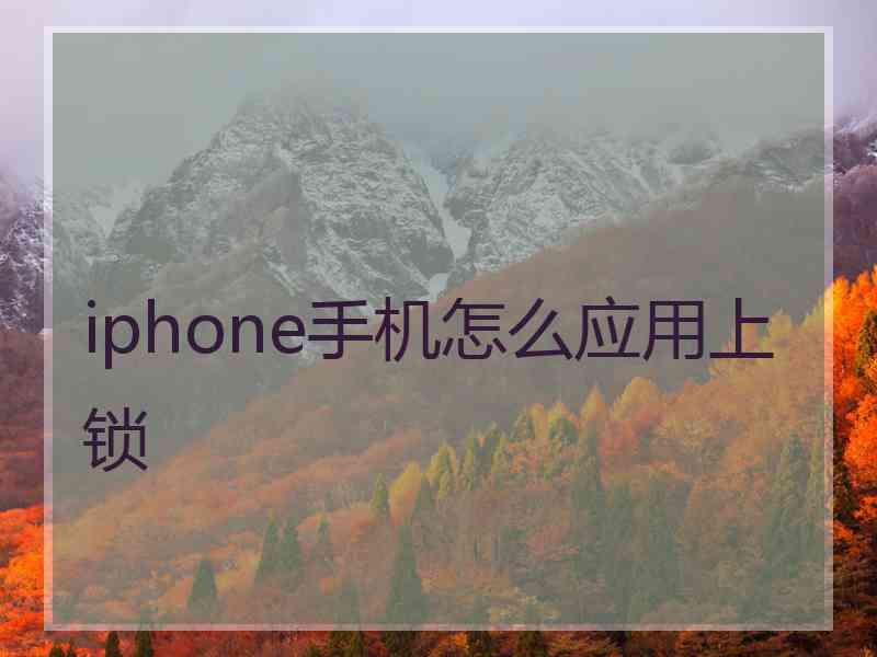 iphone手机怎么应用上锁