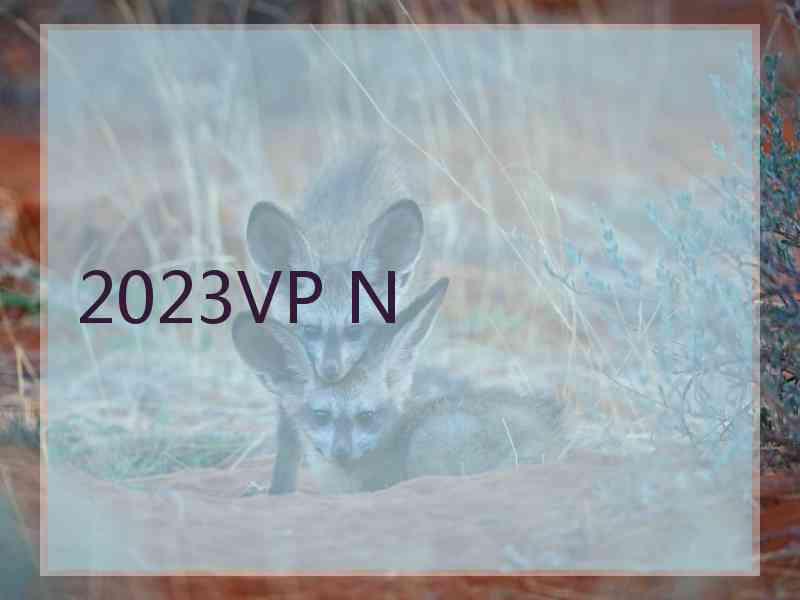 2023VP N