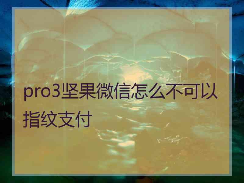 pro3坚果微信怎么不可以指纹支付