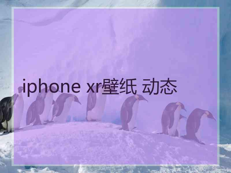 iphone xr壁纸 动态