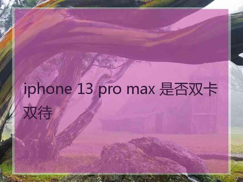 iphone 13 pro max 是否双卡双待