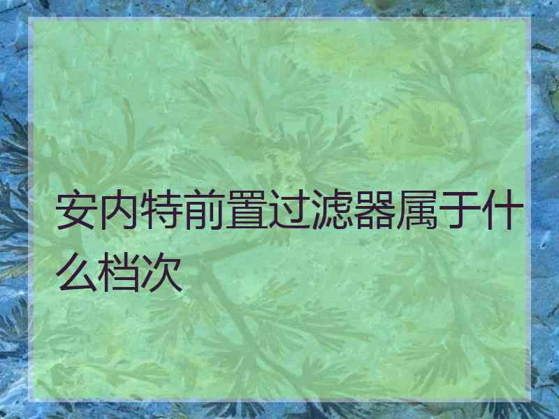 安内特前置过滤器属于什么档次