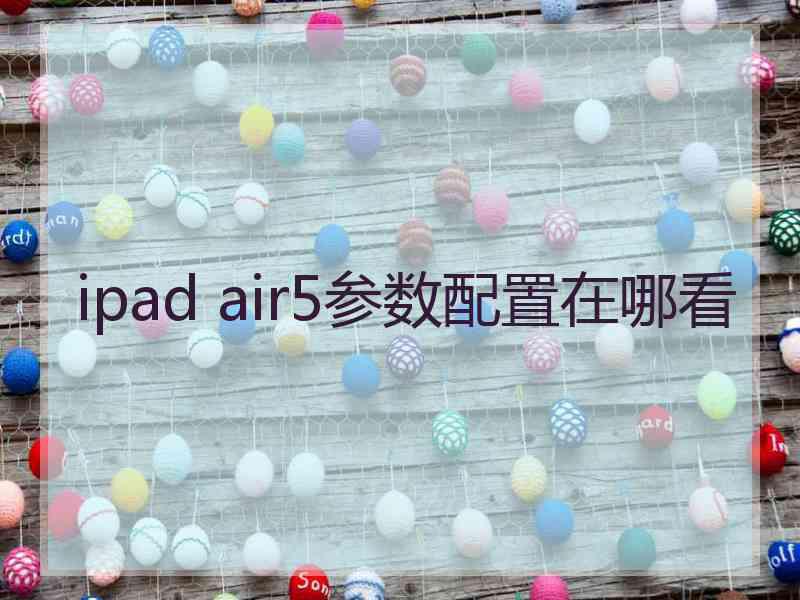 ipad air5参数配置在哪看