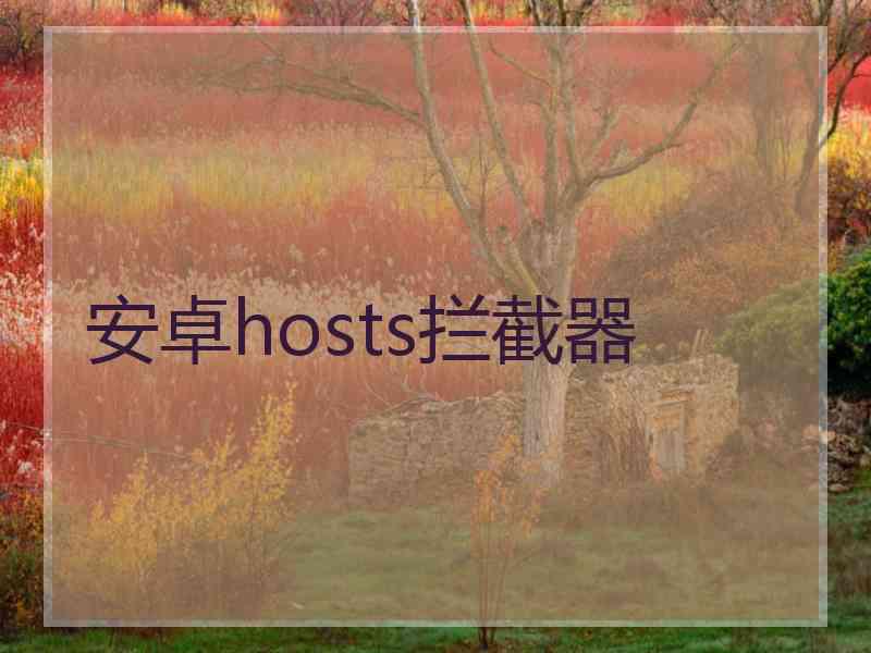 安卓hosts拦截器