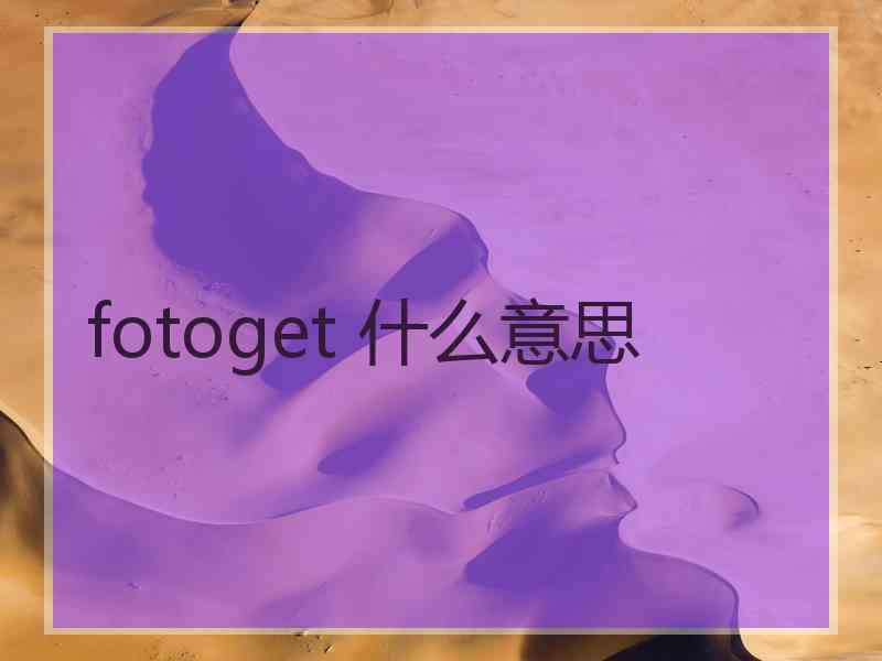 fotoget 什么意思