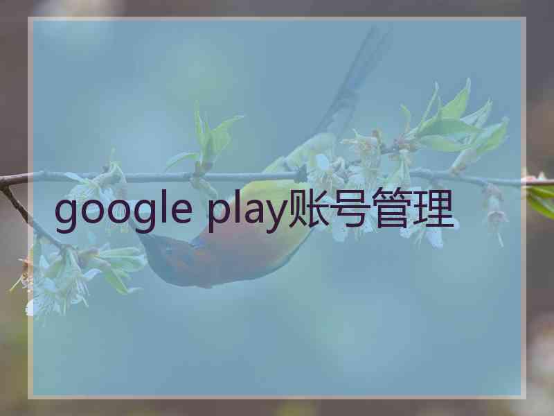 google play账号管理